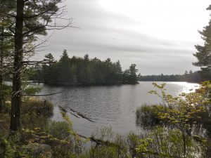 Bearshead Lake